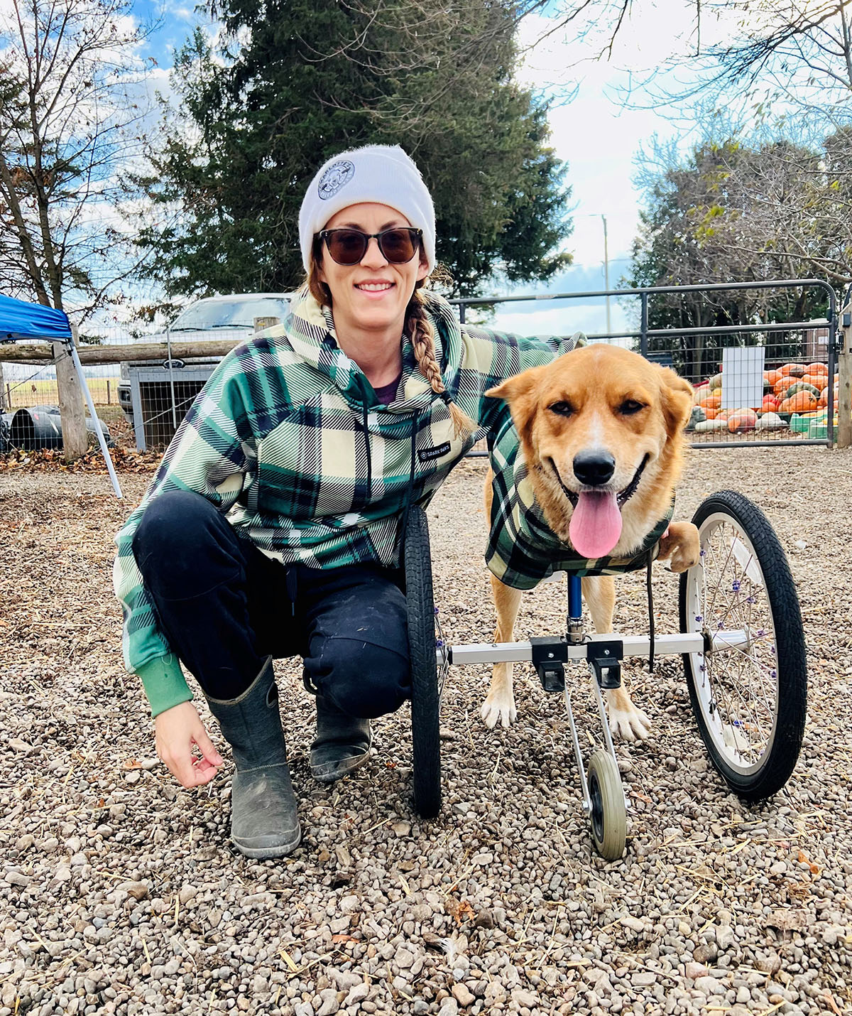 Woman’s adorable disabled pup thinks he’s a roo!