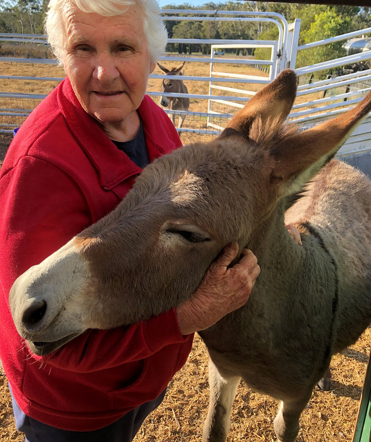 My donkey is a bodyguard!