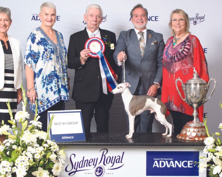 Prize pooches and fancy felines become stars at the Sydney Royal Easter Show