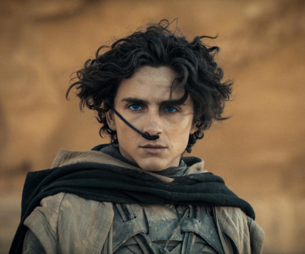 timothee chalamet dune